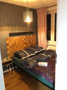 斯塔洛瓦沃拉Apartament na Okulickiego - Centrum !!的一间卧室配有一张大床和枕头