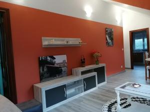 奧瑞那Apartamento Turístico La Mies的客厅设有橙色墙壁