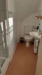 吕贝克1-Zimmer-Apartment-1-im-1-Obergeschoss的浴室配有卫生间、盥洗盆和淋浴。