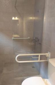 新文达什Casa Fisher的一间带卫生间和淋浴间的浴室