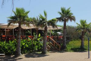 阿尔库季岛Ionion Beach Apartment Hotel & Spa的一间位于酒店前方的棕榈树餐厅