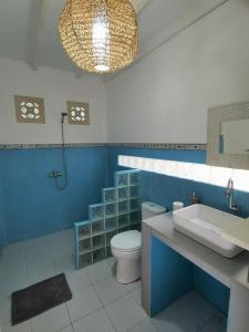 吉利特拉旺安Sahara Sands Guest House - Gili Trawangan的一间带卫生间、水槽和镜子的浴室