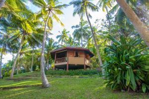 坦加拉Palm Paradise Cabanas & Villas Beach Resort的相册照片