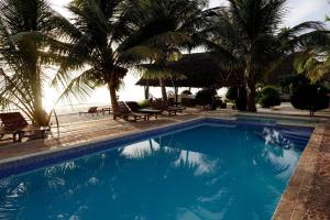 乌罗阿乌罗阿月光精品酒店的一座种植了棕榈树和大海的蓝色游泳池