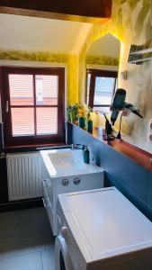 伊尔梅瑙Froeschlein 2 - no Gitters & craftsman的一间带水槽和镜子的浴室