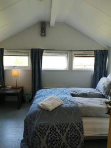 凯于图凯努Goldin的一间卧室设有一张床和两个窗户。
