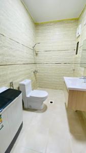 欧拉همس العلا للشقق المفروشة的一间带卫生间和水槽的浴室