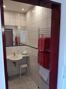 卡塞尔Hotel & Restaurant Eichholz的一间带水槽和镜子的浴室