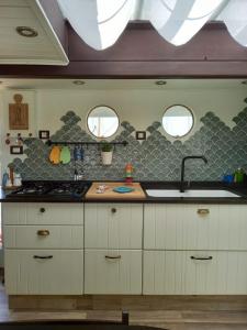 马尔扎梅米Pillirina House-boat的厨房配有水槽和台面