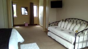 伊丽莎白港Uyolo Guest Logde的一间卧室配有两张带白色床单的床和电视。