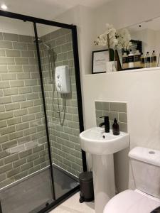 奥本Greenbank, Lower Greenbank Guest Suite的带淋浴、盥洗盆和卫生间的浴室