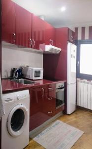 萨拉戈萨JUNTO AL PILAR的厨房配有洗衣机和微波炉。