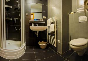 塔查斯卡-鲁穆尼卡Vila Borievka的浴室配有卫生间、盥洗盆和淋浴。