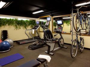旧金山迪瑞斯科酒店的健身房,提供自行车和健身器材