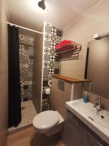 萨拉济Porte de Mafate - Grand Ilet的浴室配有卫生间、盥洗盆和淋浴。