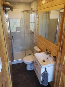 WiosnaWiosna Glamp的浴室配有卫生间、盥洗盆和淋浴。