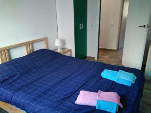巴塞罗那Coqueto apartamento的一张蓝色的床,上面有两个枕头
