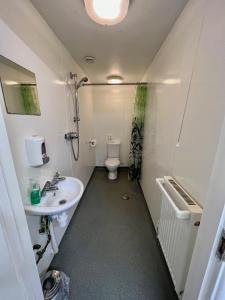 埃克斯茅斯埃克斯茅斯乡村山林小屋的一间带卫生间和水槽的小浴室