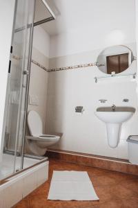 布尔诺Colatransport的一间带水槽和淋浴的浴室