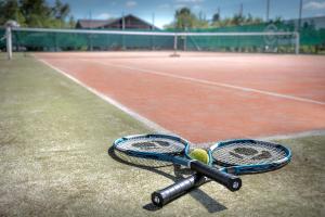 布尔诺Colatransport的网球场网球拍和球