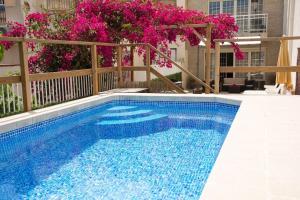 卡里拉CASA OASIS的一座拥有蓝色海水和粉红色花卉的游泳池