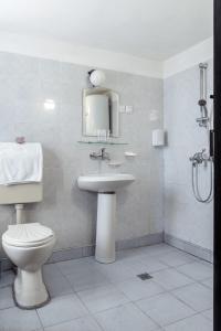 波兹思Guest house Maria Savekova 19 c.的一间带卫生间和水槽的浴室
