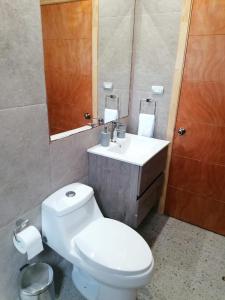 科查莫Cabañas Loft Alto Arrayan Cochamó的浴室配有白色卫生间和盥洗盆。