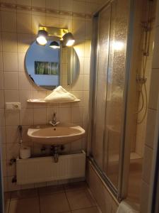 梅斯佩尔布伦Gasthof Zum Löwen的一间带水槽、淋浴和镜子的浴室