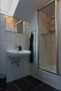 索尔陶Gemütliche Apartments in der Heide的一间带水槽和淋浴的浴室