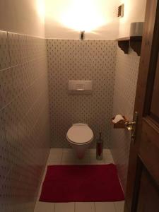 基茨比厄尔Gundhabing flat的一间小浴室,内设卫生间和红色地毯