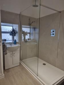 拉格斯圣伦纳兹旅馆的带淋浴和盥洗盆的浴室