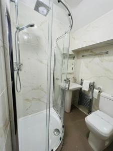 卢顿ATZ&H Inn的带淋浴、卫生间和盥洗盆的浴室