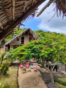 托弗海滩Casa Surf Lodge - Tofo的一组椅子和一棵树的房子
