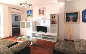 格拉纳达莫利诺斯酒店的带沙发和平面电视的客厅