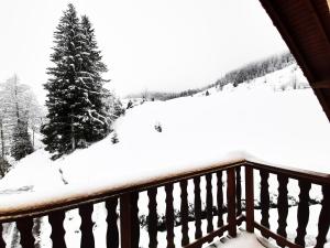 拉布雷斯⁂⁂ GITE LE PRES AU CERF [CLEDICIHOME] 2 steps from the LISPACH resort // PRIVATE toboggan run! SNOWSHOE DEPARTURE ⁂⁂的相册照片