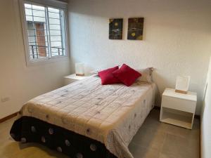 图努扬Valle de Uco. Departamento 2 habitaciones 4 huéspedes.的一间卧室配有一张带红色枕头的床