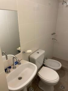 图努扬Valle de Uco. Departamento 2 habitaciones 4 huéspedes.的白色的浴室设有卫生间和水槽。
