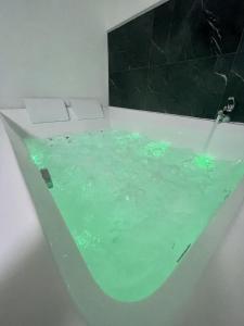 圣艾蒂安Le Golf Balnéo - Cosy & SPA - Appartement的浴室设有装满绿水的浴缸