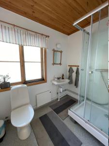 NordingråAteljéstugan med magisk utsikt的带淋浴、卫生间和盥洗盆的浴室