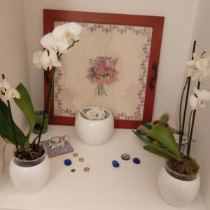 加拉蒂纳camera matrimoniale centro storico Galatina的一张桌子上花瓶里装着三朵白色的花
