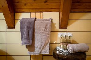 代尔尼采Holiday home Riverside的浴室的墙上挂着毛巾