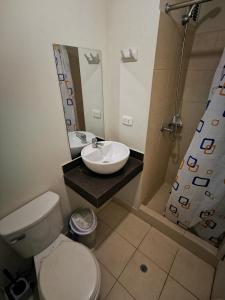 塔克纳Departamento amoblado en condominio - 5to piso的一间带卫生间、水槽和镜子的浴室