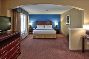 休斯顿休斯顿市中心会展中心快捷假日酒店及套房的配有一张床和一台平面电视的酒店客房
