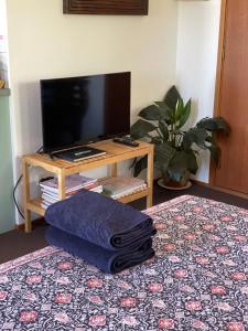 芬戈芬格尔农场度假屋的客厅配有电视和带毛巾的桌子。