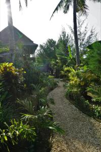 卡里蒙贾瓦Basa-basi Lodge的一条穿过种有棕榈树和植物的花园的小路