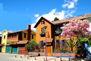 基多Casa del Arupo的前面一排房子,上面有一棵开花的树