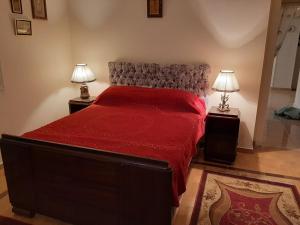 开罗Small Friendly Apart In a Villa - New Cairo 5th Settlement的一间卧室配有一张红色大床和两盏灯