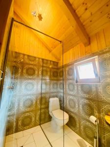 勒什Chalet Sejalec的一间带卫生间和淋浴的浴室