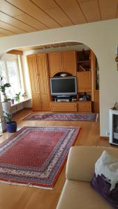 沙夫豪森Schaffhausen Munot的一间带电视和地毯的客厅