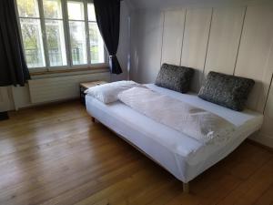 艾因西德伦Apartment Meinradsberg mit Balkon的一间卧室配有一张带两个枕头的床